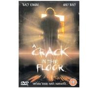 Crack in the Floor [DVD]