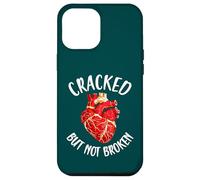 Cracked But Not Broken Japanese Pottery Kintsugi Art Case for iPhone 12 Pro Max