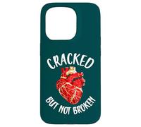 Cracked But Not Broken Japanese Pottery Kintsugi Art Case for iPhone 15 Pro