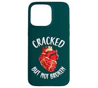 Cracked But Not Broken Japanese Pottery Kintsugi Art Case for iPhone 15 Pro Max