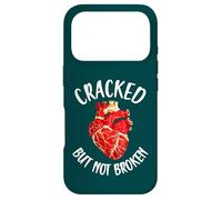 Cracked But Not Broken Japanese Pottery Kintsugi Art Case for iPhone 17 Pro