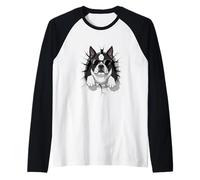 Cracked Wall Boston Terrier Sunglasses Raglan Baseball Tee