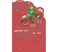 Crackers Cute Robins to The One I Love at Christmas Greeting Card 748583