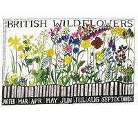 Crackers Ltd British Wildflowers Cotton Tea Towel, Multi-colored Botanical Print, Educational Height Guide, 48 x 80cm, Traditional Kitchen Cloth