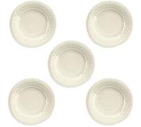 Crackle Glaze Cream - Melamine/Plastic Dinner Plates Set for 5
