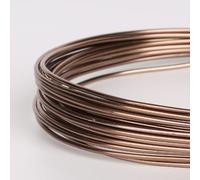 Craft and Garden Essential Bonsai Wires, Anodized Aluminum Wire for Training and Styling (1pc brown)