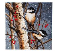 Craft Buddy 30cm x 30cm Framed Crystal Art Kit (Woodland Sprites)