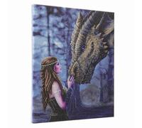 Craft Buddy Crystal Art CAK-AST5 Once Upon A Time: Anne Stokes, 40x50cm Crystal Art Kit