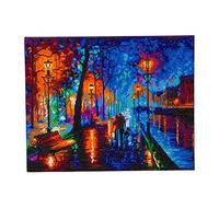 Craft Buddy STC Stores 40cm x 50cm Framed Canvas Crystal Art Gem Kit (Melody of The Night - Full Crystal - AW 2021)