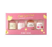 Craft Club Pink Explorers' Collection - Pink Alcohol Gift Set, Gifts for Women, Birthday - 4 x 5cl Flavoured, Manchester, Warners Rhubarb, Nelsons, 58 - Unique UK Distilleries - Gift Set