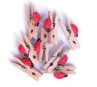 Craft Factory The Mini Wooden Pegs, with Ladybirds, pack of 8, 30mm