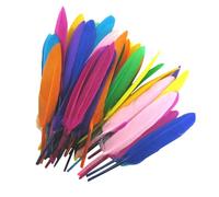 Craft Feathers Assorted Colors 50PCS Colorful Feathers | Bright Rainbow Feathers for Creative Crafts - Ideal for Kids Art Wedding Decorations Handmade Craft Activities