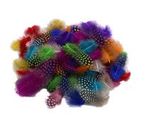 Craft Feathers for Fly Tying & Art - 100 Spotted & Speckled Feathers for Costumes, Millinery & Crafts | Kids B Crafty
