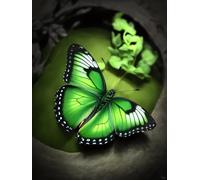 Craft Kits For Adults Green Butterfly Animal Doormat Carpet Making Kits，Interlocking Hook Rug Gift Packing Diy For Teenager/Adults With Printed Canvas 31x63in