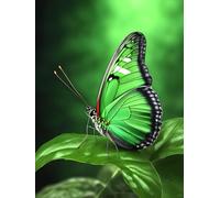 Craft Kits for Adults Green Butterfly Animal Latch Hook Kit，DIY Carpet Making Kits for Beginners and Adults，Home Decoration，Cross Stitch Rug Set Cushion 35x46in