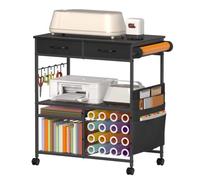 Craft Storage Cart and Organization Compatible with Cricut Machines | Rolling Craft Trolley with 16 Vinyl Roll Holders and 2 Drawer Crafting Storage Cabinet for Cricut Accessories
