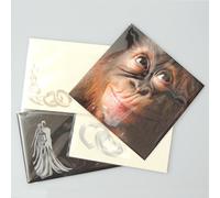 Craft UK Cello Bags For 5" x 5" Cards with Self Seal Strip Approx. 50