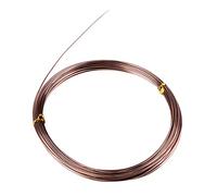 Craft Wire 1mm 10m Anodized Silver Aluminum Wire for Bead Making Art Craft DIY Embellishment Decoration Florist Supplies (Brown)