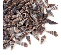Craftdady 100Pcs Black Natural Trumpet Spiral Conch Shell No Hole Ocean Beach Beads 20mm for Fish Tank Vase Filler Baking Handiwork Making DIY Craft Home Decor