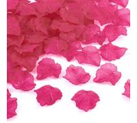 Craftdady 100pcs Transparent Frosted Acrylic Leaf Pendants Plastic Bead Charm with Vein 24x22.5mm for DIY Jewellery Making Crafting, Fuchsia
