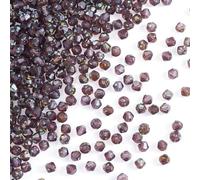 Craftdady 50g Bicone Glass Beads Faceted Crystal Bead Pony Seed Beads Bulk for Jewelry Making Bracelet Necklace Earring, Indian Red