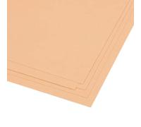 Craftelier - Pack of 5 Double Sided Canvas Texture Cardstock | Perfect Material for Scrapbooking and Crafts Projects | Weight 216 g | Size 30.48 x 30.48 cm (12" x 12") - Peach