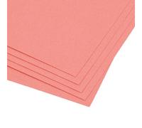 Craftelier - Pack of 5 Double Sided Canvas Texture Cardstock | Perfect Material for Scrapbooking and Crafts Projects | Weight 216 g | Size 30.48 x 30.48 cm (12" x 12") - Coral
