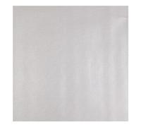 Craftelier - Synthetic Metallic Eco-Leather for Binding or Lining Photo Albums, Notebooks, Notebooks, Scrapbooking and Other Crafts | Piece Measurements: 35 x 50 cm - Silver