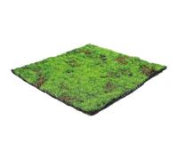 CRAFTHROU Artificial Moss Turf 30x30cm Lifelike Green Fake Grass Rug Sheet Moss Pad for Garden Patio Indoor Outdoor Micro Landscape Decoration