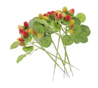 CRAFTHROU Artificial Waxberries Multipurpose Lifelike Berry Models and Matching with Other Simulation Fruits 6pcs Fake Fruit Decoration Plastic for Food Display for Party Table Decors
