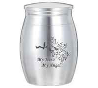 CRAFTHROU Pet Cremation Urn for Pet Ashes Made of Silver Titanium Steel Gracefully Shaped with Waterproof and Anti-fading Features for Bookshelves Decoration