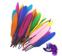 Crafts Colored Feathers, 50 Mixed Color Feather, Assorted Colors Feathers, Geese Feathers Bulk Craft, Feathers for Crafts Wedding Home Decoration Halloween Supplies
