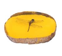 Crafts Decor Collection Chinese Beautiful Amber Polishing Insects Dragonfly Fossil Gift Manual Exquisite G0V7