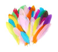 Crafts Feather Kit Colorful Set 50pcs Natural Feathers for DIY Dream Catchers Home Decor Centerpieces Party Decorations Odorless Reusable Kids Mix Color