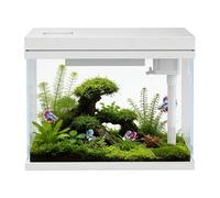 Craftsboys 25L Tank, Nano Glass, Freshwater & Marine, Accessories Included (White, 25L)