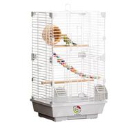 Craftsboys Basic Bird Cage (63 cm x 37 cm x 28 cm), Bird Cage with 1 Ladder, 1 Horizontal Bar, 2 Feeders, and 1 Bird Nest