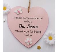 Craftworks Originals It Takes Someone Special To Be A Big Sister Wooden Keepsake Gift Heart 13 x 13 cm