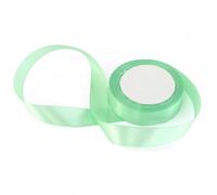 Crafty Capers Mint Green | Budget Satin Ribbon | 20mm Wide | 15m Roll