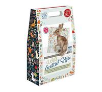 Crafty Kit Company Wild Scottish Hare Needle Felting KitContaining 100% wool, Felting Needles, High Density Felting Sponge, Pipe Cleaners, Wire, Glass Eyes and Clear Colour Instructions