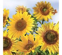 Crafty Things 4 x Paper Napkins - Sunflowers in the Sky - Ideal for Decoupage/Napkin Art