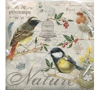 Crafty Things 4 x Paper Napkins - The Birds - Ideal for Decoupage/Napkin Art