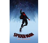 Craftylittlepenguin Spiderman Into the Spiderverse Poster 2018 Print Unframed A3 A2 A4 Maxi Art Wall Art Home Decor Movies Cinema Disney- 2082 (A4-210 x 297 mm)