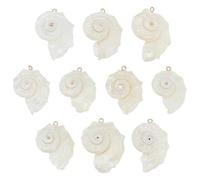 CRAFTYMELODY 10Pcs Shell Pendant Seashells Charm Marine Life Shell Charms with Light Gold Tone Iron Loops Summer Ocean Pendant Decor for Bracelet Necklace Jewelry Making Craft Supplies