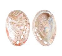 CRAFTYMELODY 2Pcs Abalone Shells Antique White Abalone Shell Bowl 2 to 3 Inches All Natural Shell Smudge Bowl Sage Burner Holder Perfect for Smudge Sticks Incense Sticks Sage Smudges Kit Home Decor