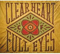 Craig Finn - Clear Heart Full Eyes