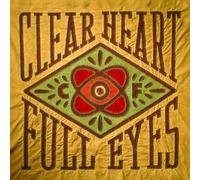 Craig Finn - Clear Heart Full Eyes