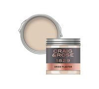 Craig & Rose 1829 Dried Plaster Chalky Emulsion Paint, 50Ml