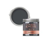 Craig & Rose 1829 Zeitgeist Chalky Emulsion Paint, 50Ml