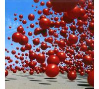 Cranberries - Wake Up & Smell The Coffee