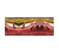 Cranberry Oversized Keyboard and Mouse pad - 12x31.5 inches, relieves Wrist Fatigue and Improves Work Efficiency